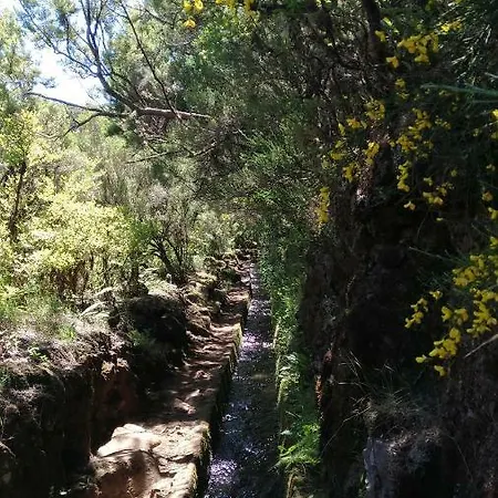 Ape Esquerdo Daire *