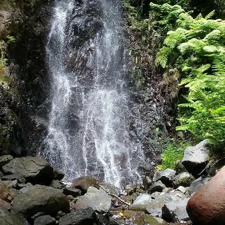 شقة Ape Esquerdo *