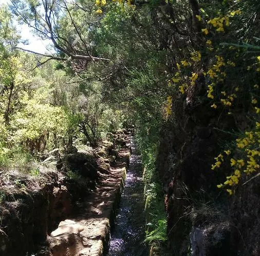 Ape Esquerdo Apartamento *